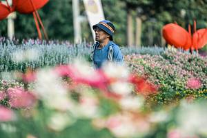 BIB: 
                            <button type="button" onclick="openModal(25935070)" class="btn btn-primary btn-sm float-right btn-popup" data-toggle="modal" data-target=".modal-high-quality">
                        <i class="fas fa-shopping-cart"></i> Add to Cart
                    </button>
                                            <button type="button" onclick="isThisMe(25935070, true)" class="btn btn-success btn-sm float-right btn-popup btn-isme hidden" data-toggle="tooltip" data-placement="bottom" title="นี่คือรูปของคุณใช่ไหม คลิกที่นี่เพื่อเอาเข้าอัลบั้ม">
                        <i class="fas fa-plus"></i> Add to album
                    </button>
                    <button type="button" onclick="isThisMe(25935070, false)" class="btn btn-warning btn-sm float-right btn-popup btn-isnotme hidden">
                        <i class="fas fa-ban"></i> Remove from album
                    </button>